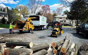 Best Pest Control for Lawns  in Highlands, CA